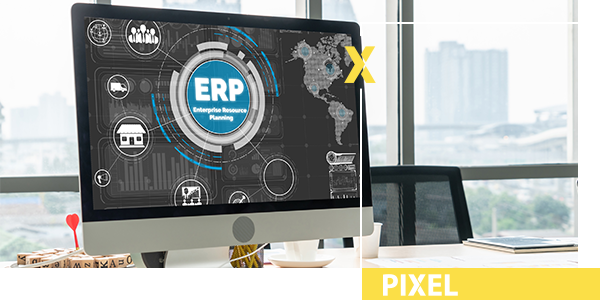 ERP Development Company Dubai